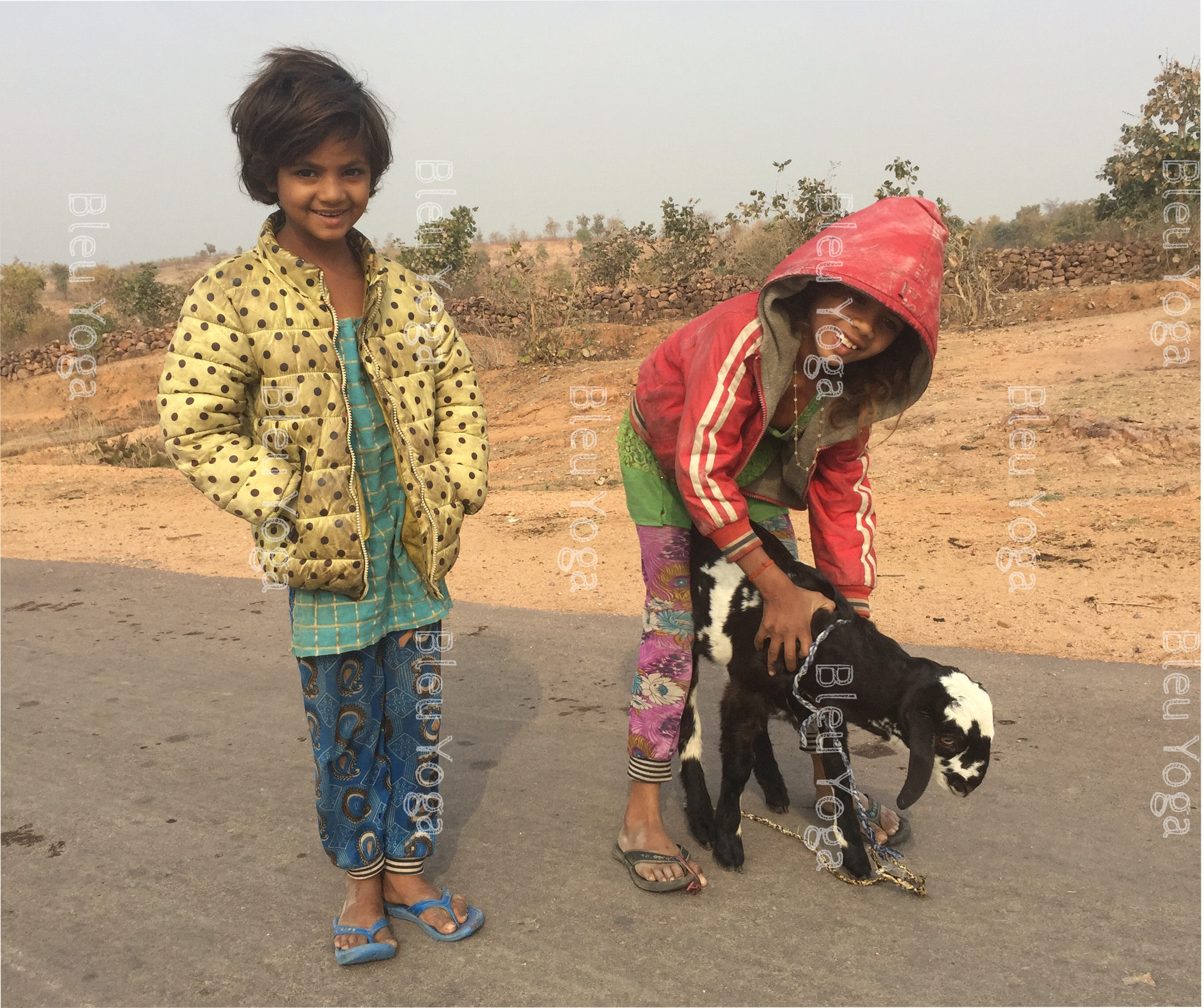 gardiennes de chèvres enfants en inde